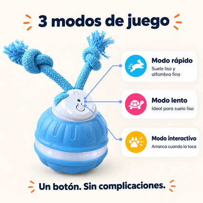 3 modos de juego: rápido, lento e interactivo