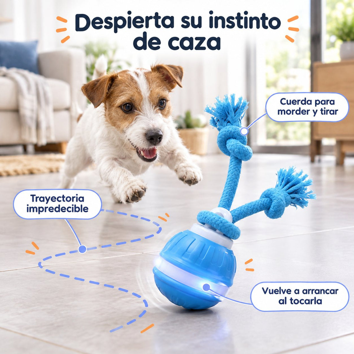 Trayectoria impredecible que despierta el instinto de caza de tu perro