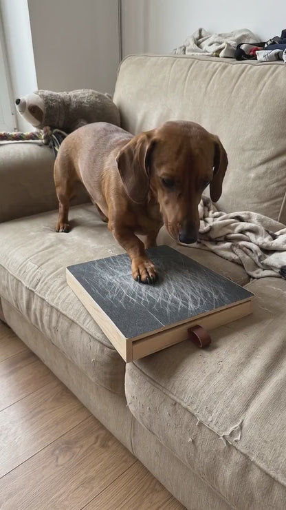 PawsScrape™ - Unghie perfette senza stress né dolore