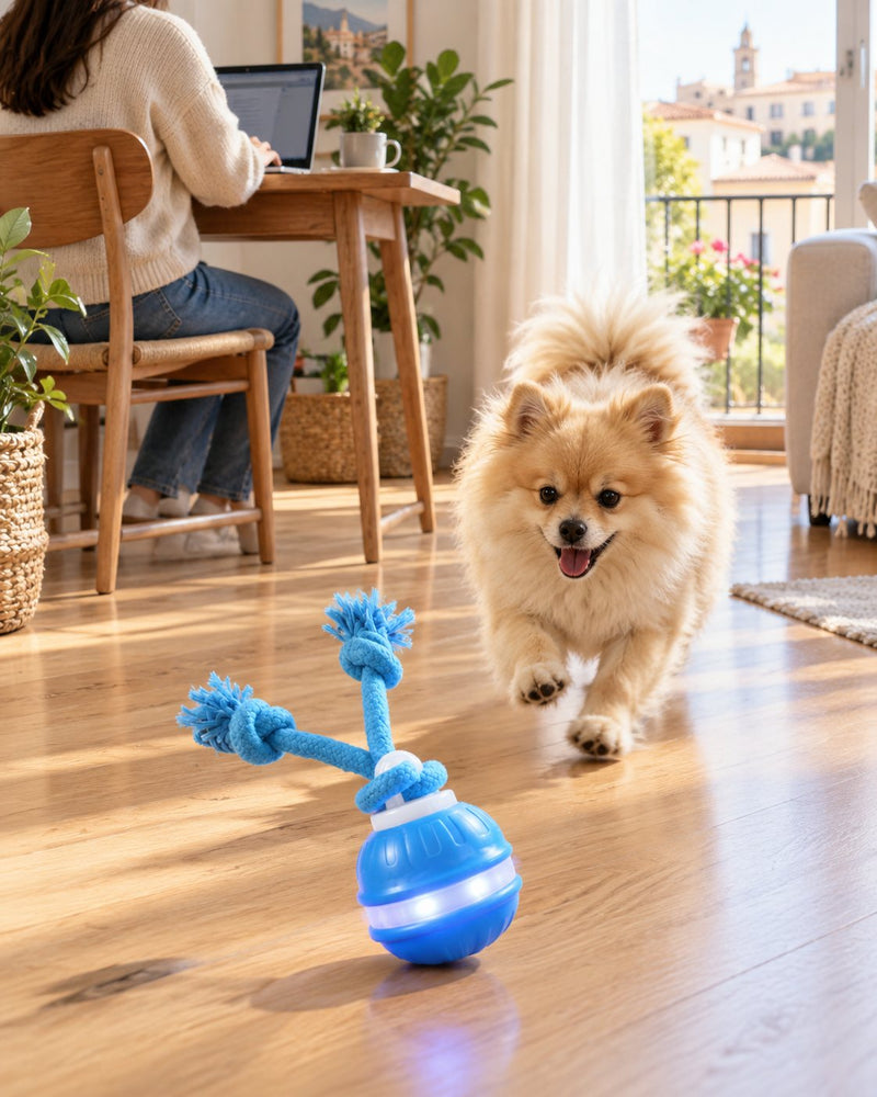 Perro jugando mientras su dueña trabaja