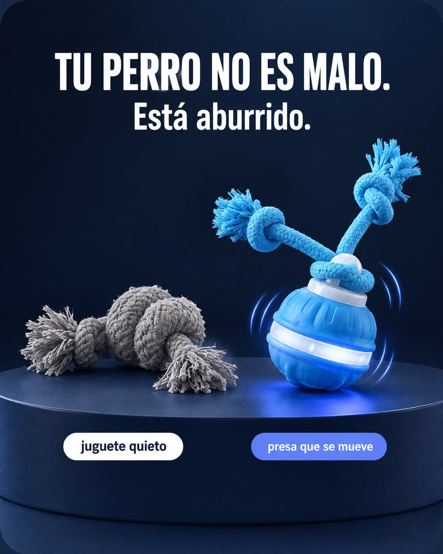 Tu perro no es malo, está aburrido